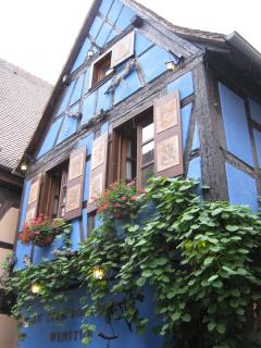 IMG_3531.jpg