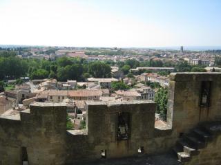 IMG_2511.JPG