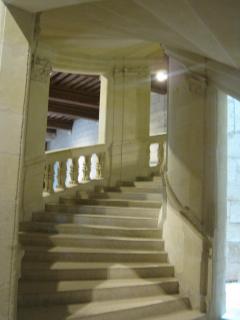 IMG_1447.jpg