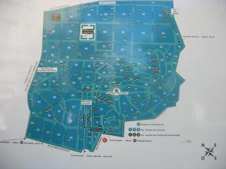 IMG_7899.JPG