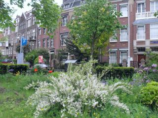 SDC12973.JPG