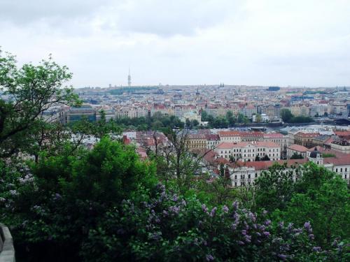 SDC11033.JPG