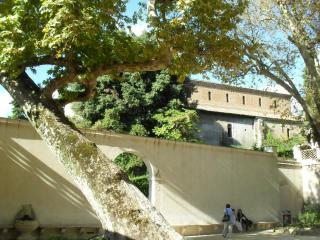 SDC15728.JPG