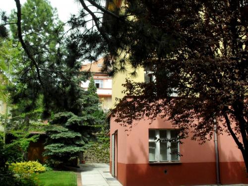 SDC10663.JPG