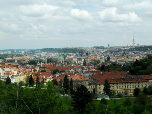 SDC10019.JPG
