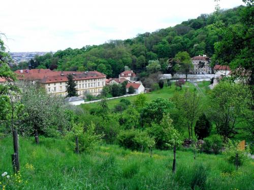 SDC10033.JPG