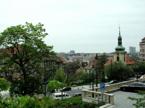 SDC10681.JPG