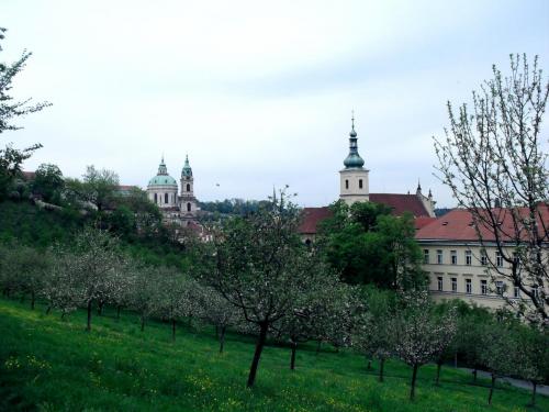 SDC10914.JPG