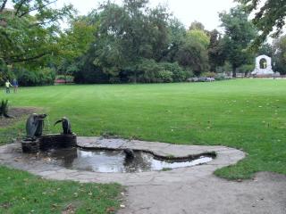 SDC15103.JPG