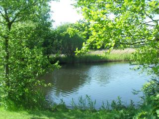 SDC13236.JPG