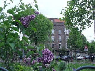 SDC12979.JPG