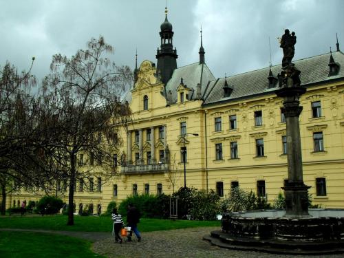SDC10225.JPG