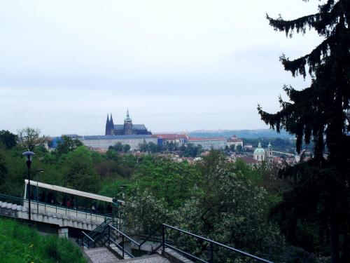 SDC10923.JPG