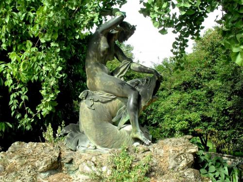 SDC11748.JPG