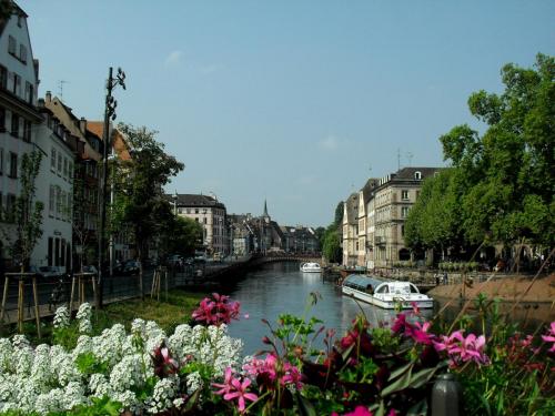 SDC12560.JPG
