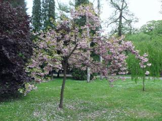 SDC16457.JPG