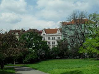 SDC17757.JPG