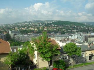 SDC16684.JPG