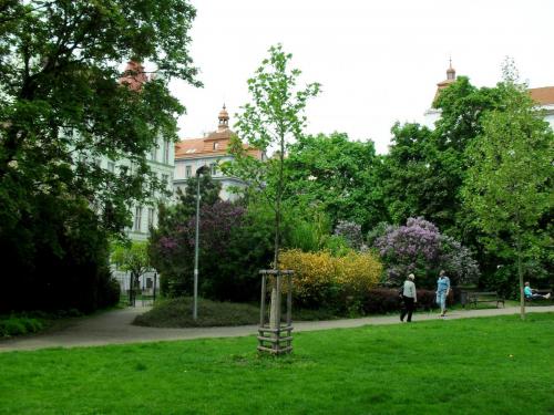 SDC10682.JPG