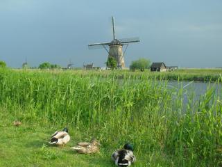 SDC13630.JPG