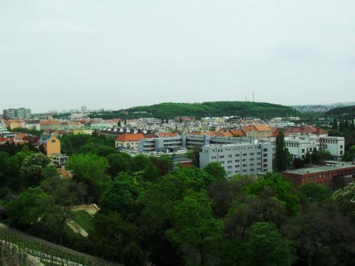 SDC10725.JPG