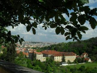 SDC17287.JPG