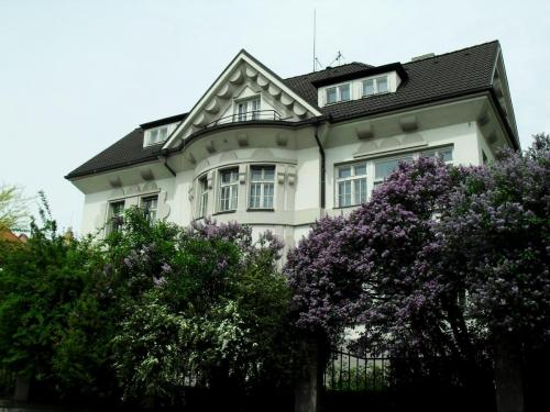 SDC10657.JPG