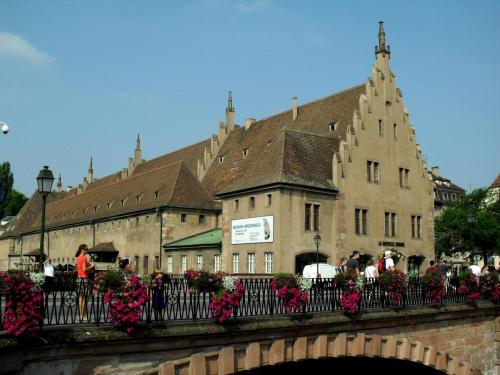 SDC12503.JPG