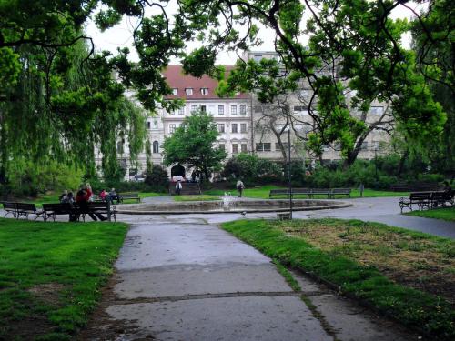 SDC10238.JPG