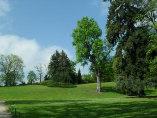 SDC17352.JPG