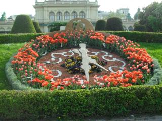SDC16979.JPG