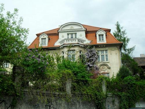 SDC10655.JPG