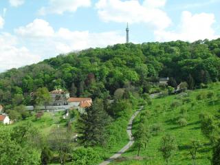 SDC17286.JPG