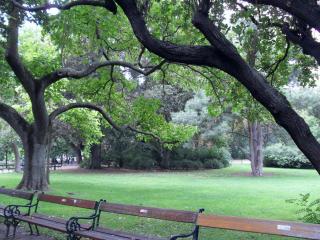SDC15090.JPG