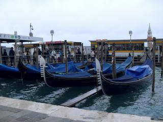 SDC15186.JPG