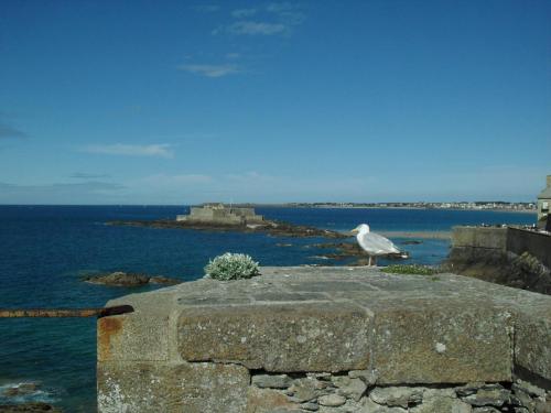 SDC12043.JPG