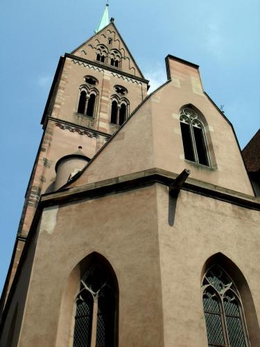 SDC12648.JPG
