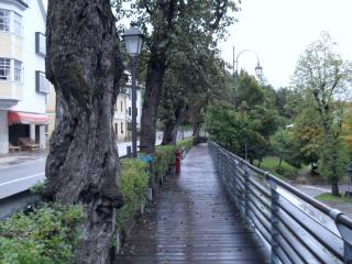 SDC15167.JPG