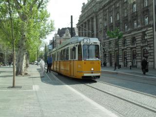 SDC16763.JPG