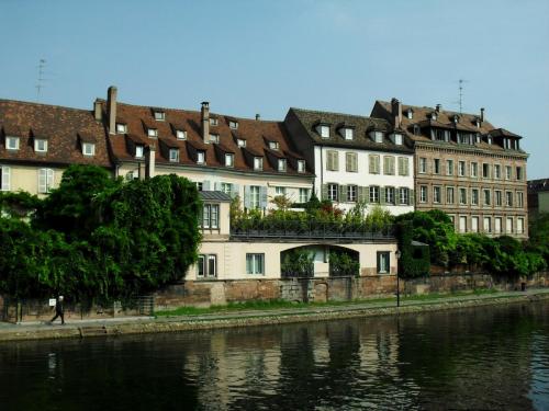 SDC12552.JPG