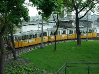 SDC16740.JPG