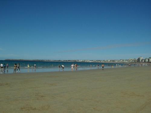 SDC12081.JPG