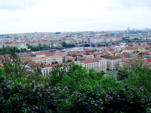 SDC11030.JPG