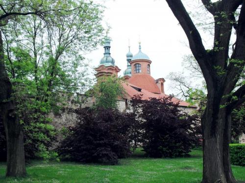 SDC10951.JPG