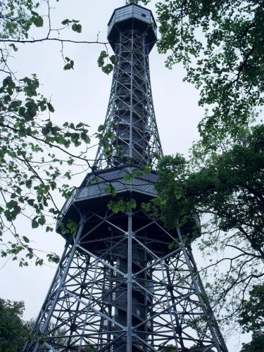 SDC10948.JPG