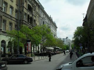 SDC16774.JPG