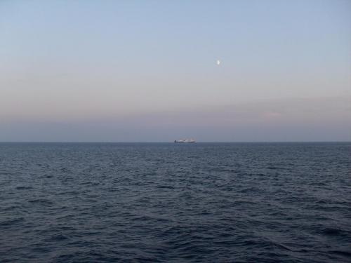 SDC18725.JPG