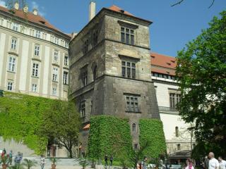 SDC17144.JPG