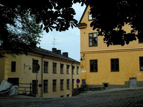 SDC18935.JPG