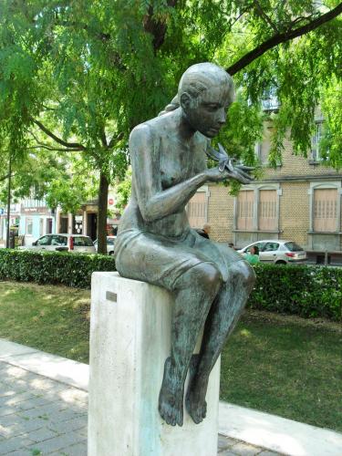 SDC12580.JPG